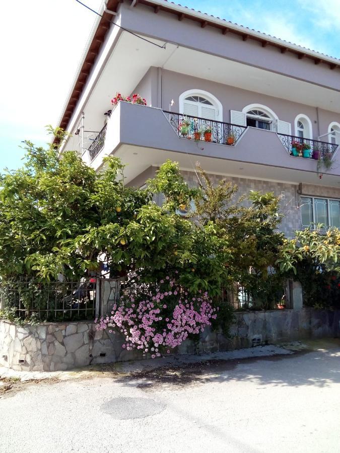 Vonitsa Loft Apartment 1 Bagian luar foto